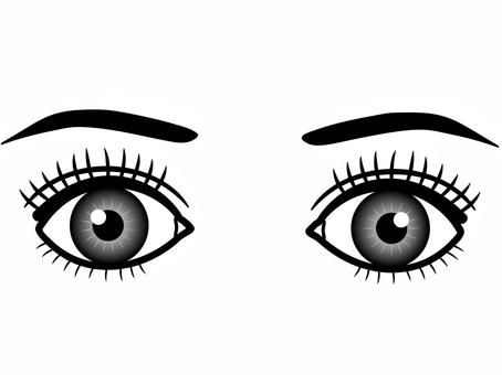 eyes and eyebrows clipart