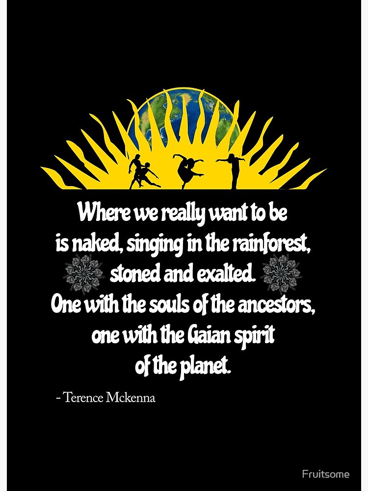 terence mckenna quote