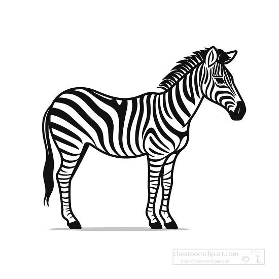 clip art zebra