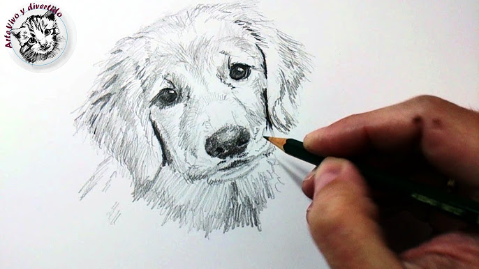 dibujos a lápiz de animales