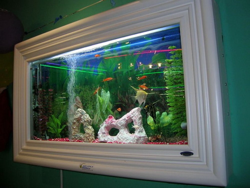 wall fish aquarium