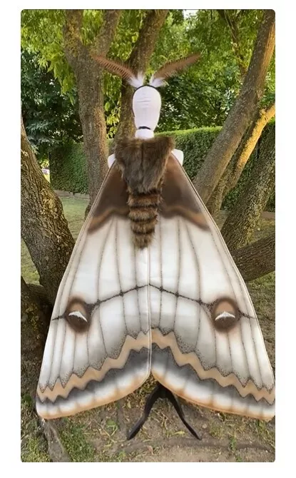 moth wings costume