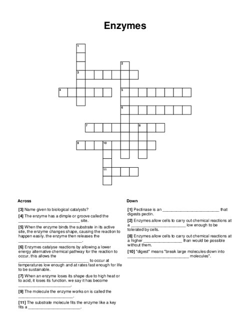 enzyme crossword clue