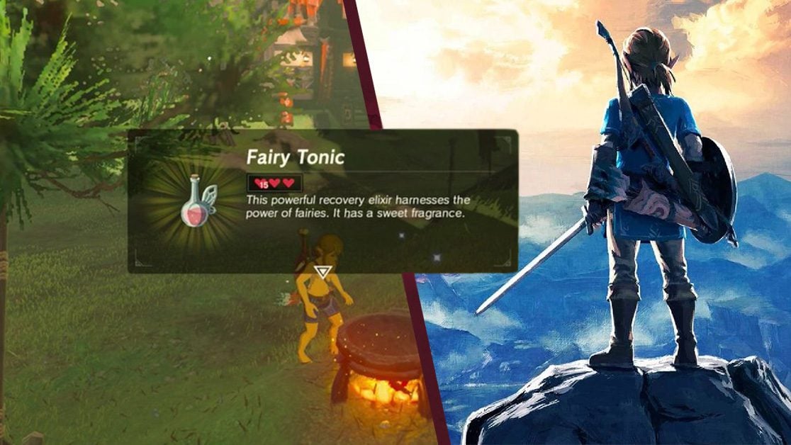 botw fairy tonic