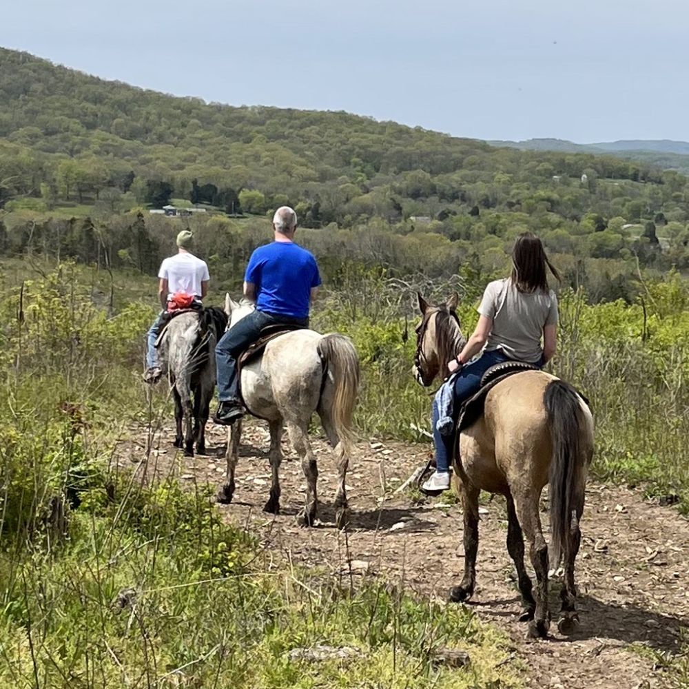 horseback riding murfreesboro tn