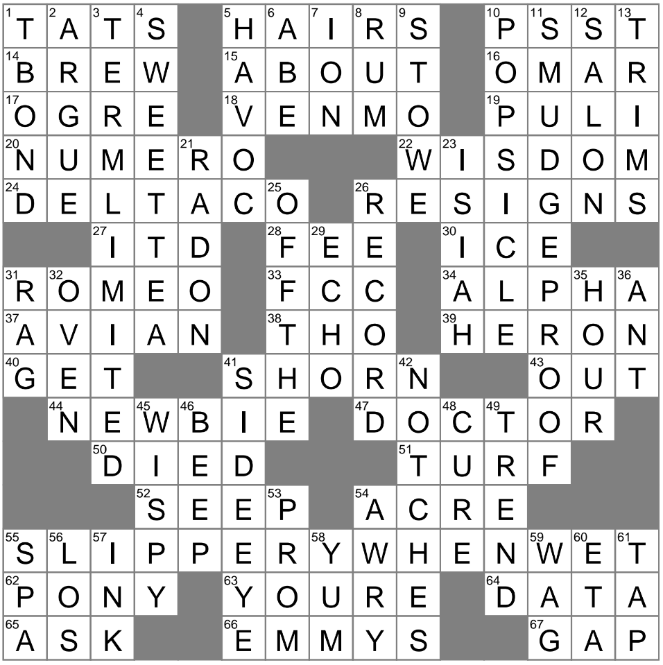 begin to take effect crossword clue