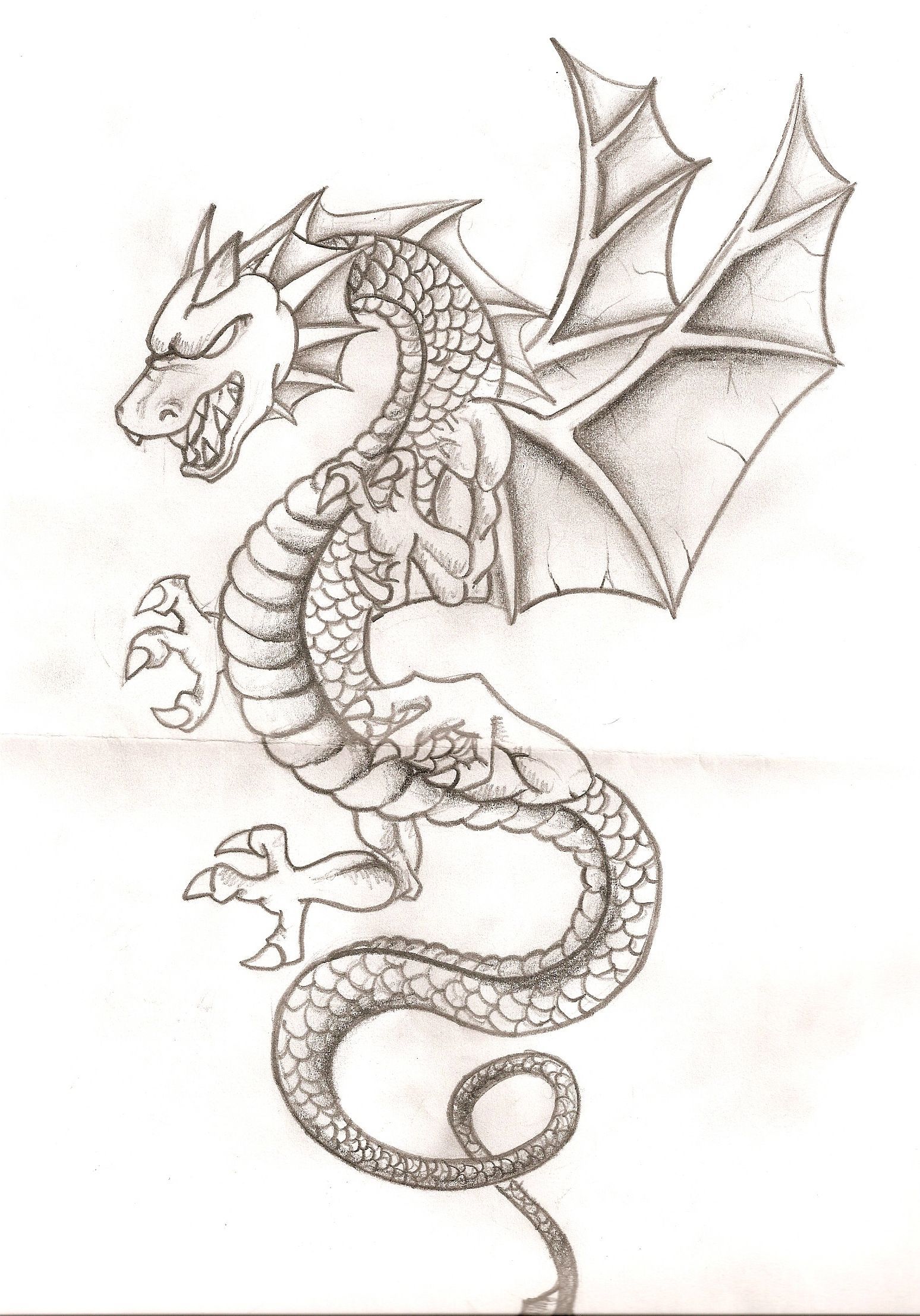 dragon dibujo a lapiz