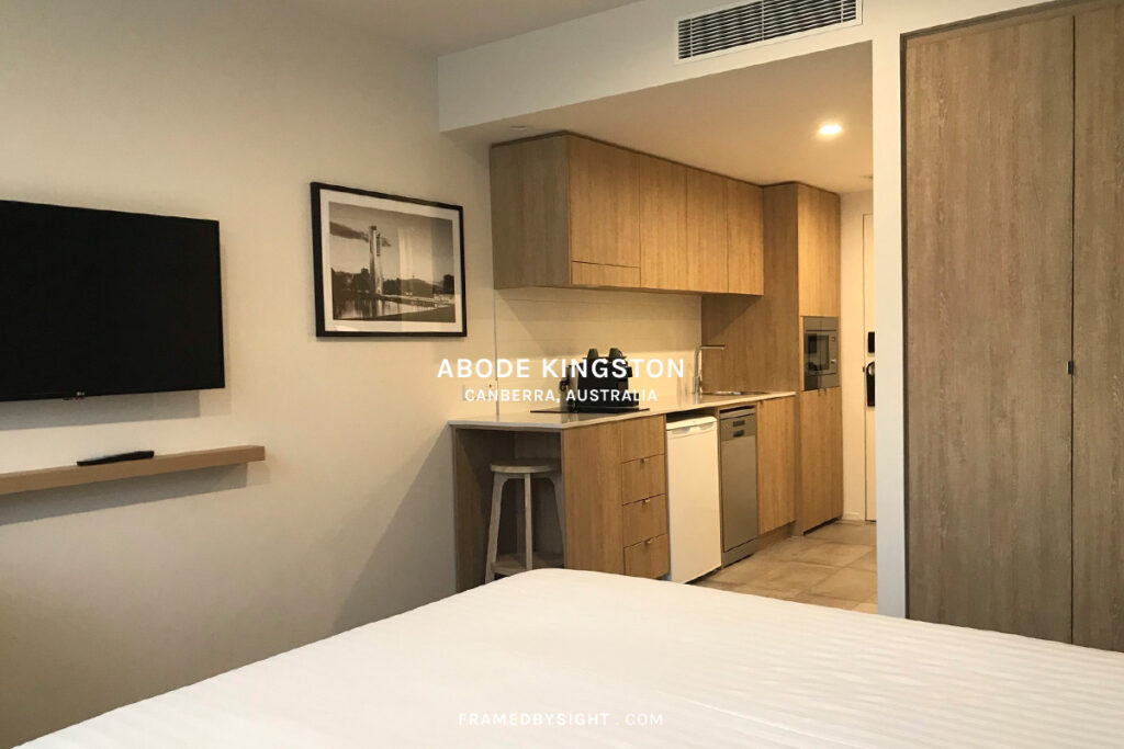 abode kingston pet friendly