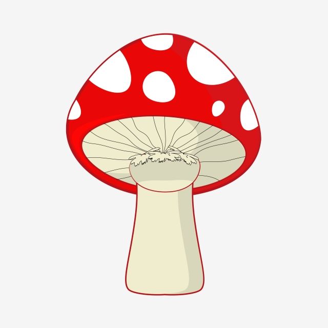 mushroom vector png