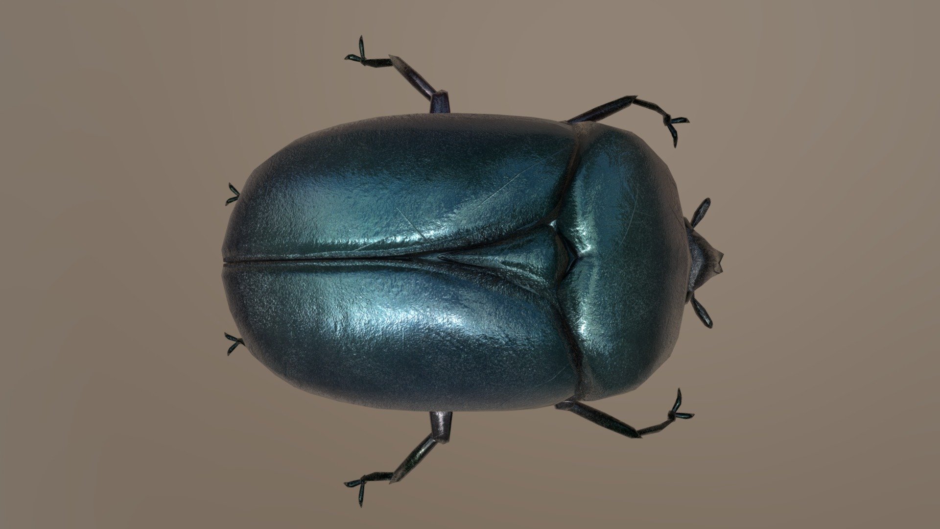 dung beetle 3d model