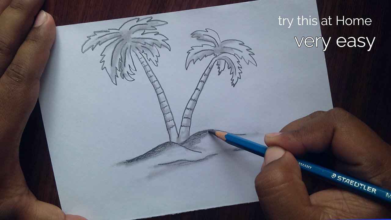 palm tree sketch easy