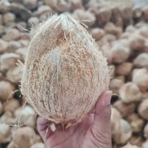 coconut wholesale price