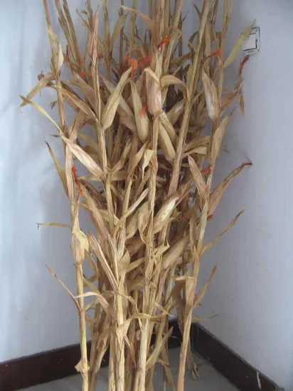 fake corn stalks for sale