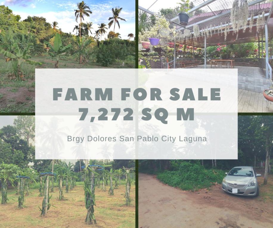 farm for sale san pablo laguna