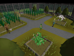 farming guild osrs