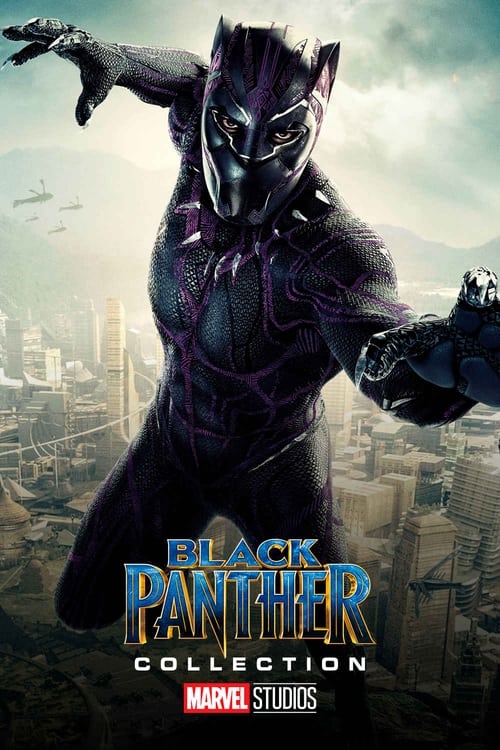 black panther film series movies