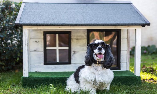 casas para perros mercado libre