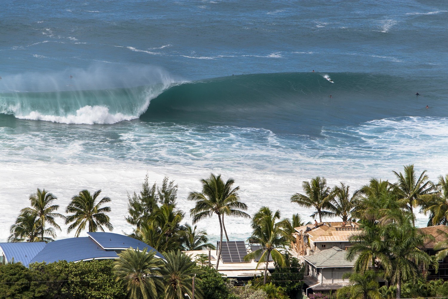 waimea bay wave report