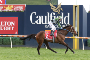 caulfield cup trifecta