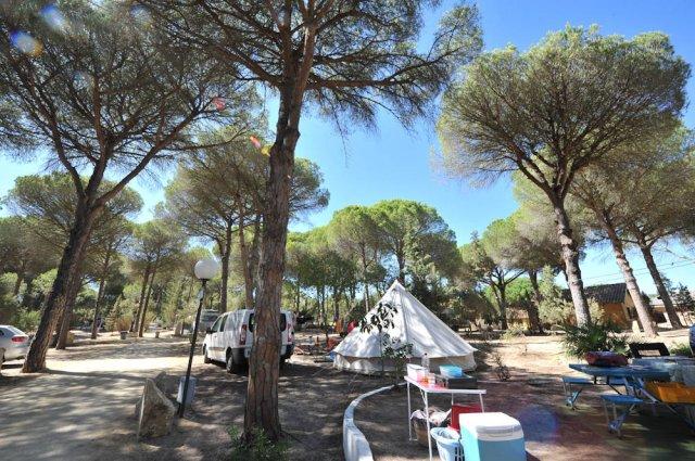 camping vejer fotos