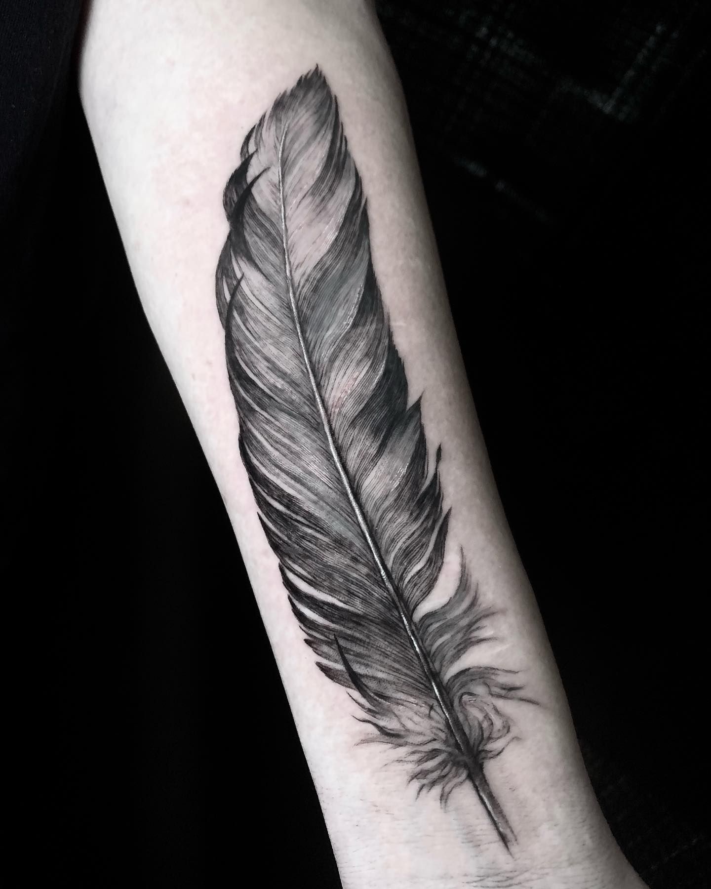 feather tattoo black and grey