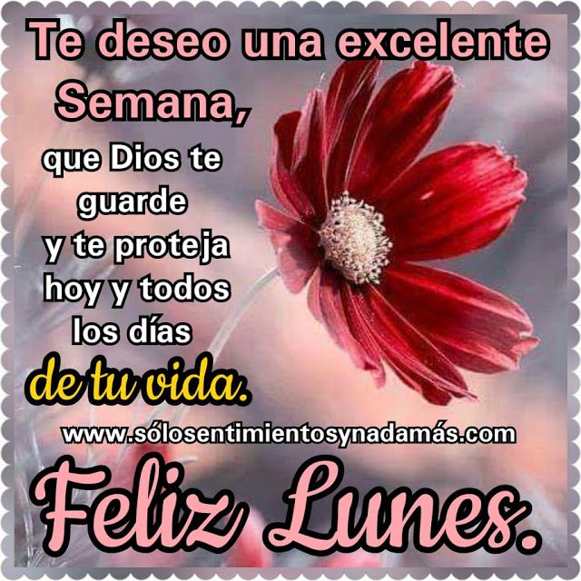 feliz lunes dios te bendiga frases