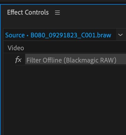 filter offline premiere pro