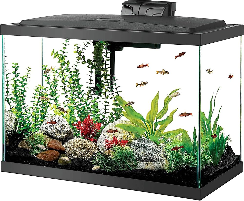 fish tank aqueon