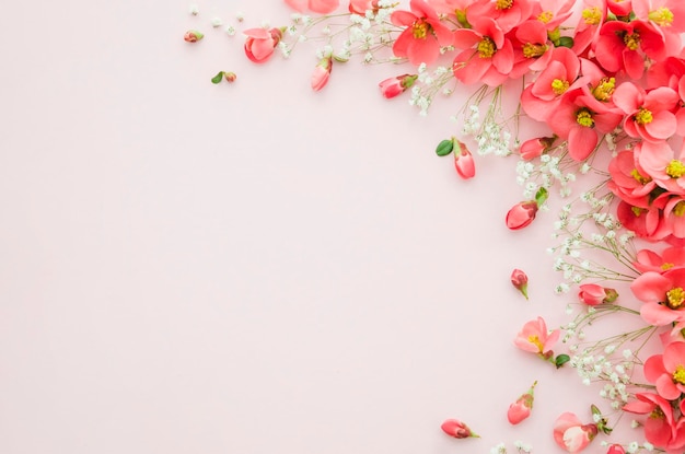 floral background hd