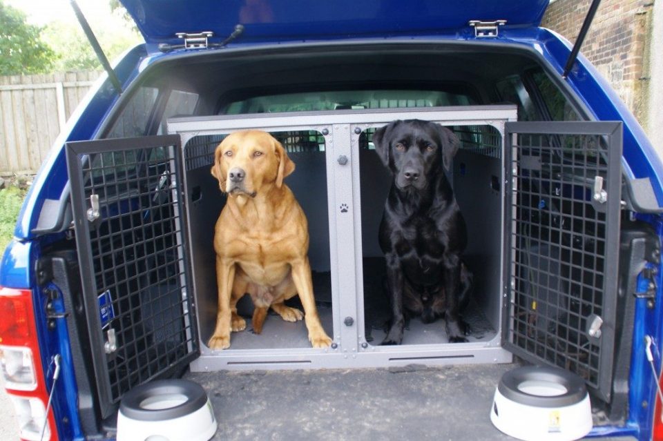 ford ranger dog cage