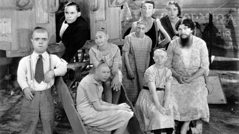 freaks 1932 watch online