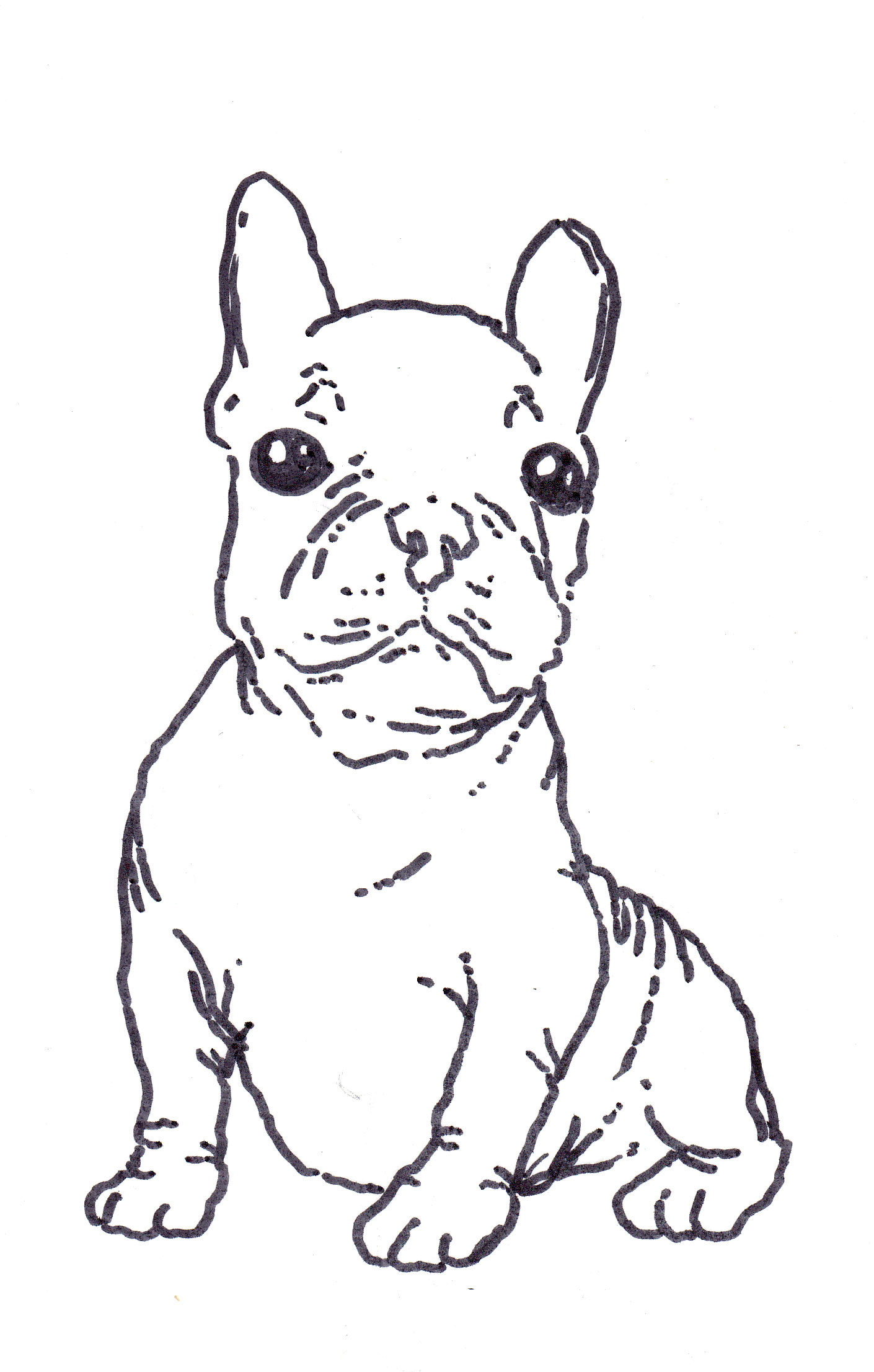 french bulldog coloring sheets