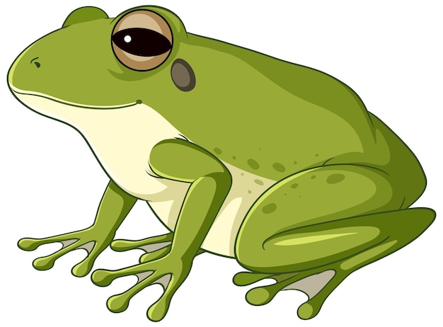 frog cartoon pic