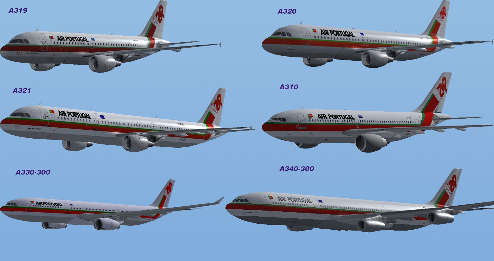 fs2004 a310