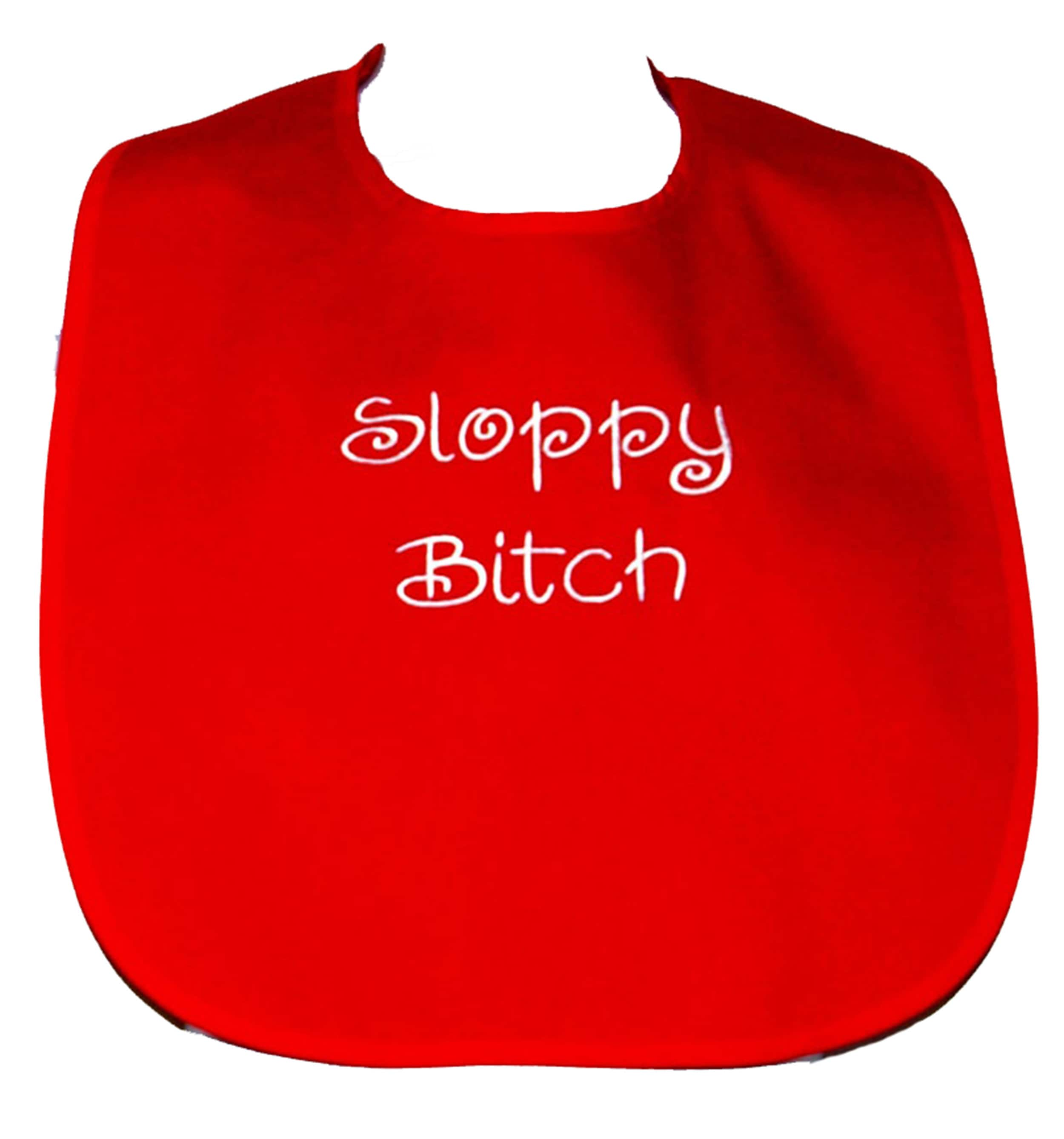 funny bibs for adults