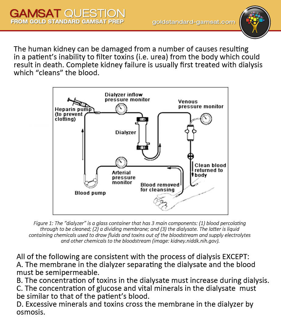 gamsat section 1 questions