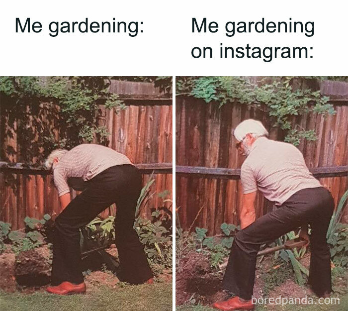 gardening memes funny