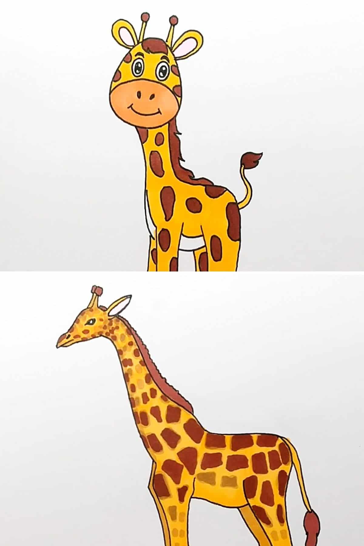 giraffe pic drawing