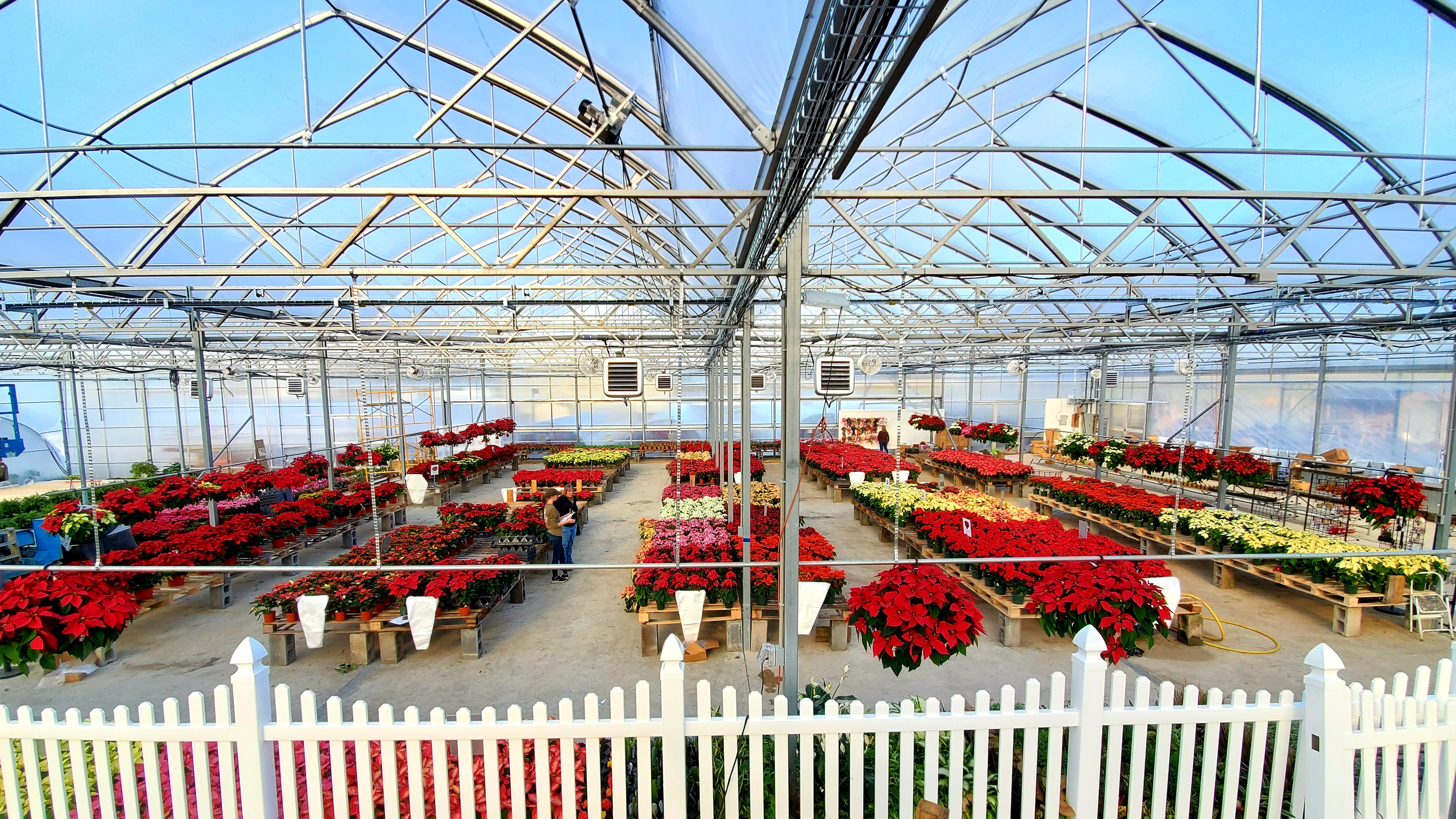 glicks greenhouse