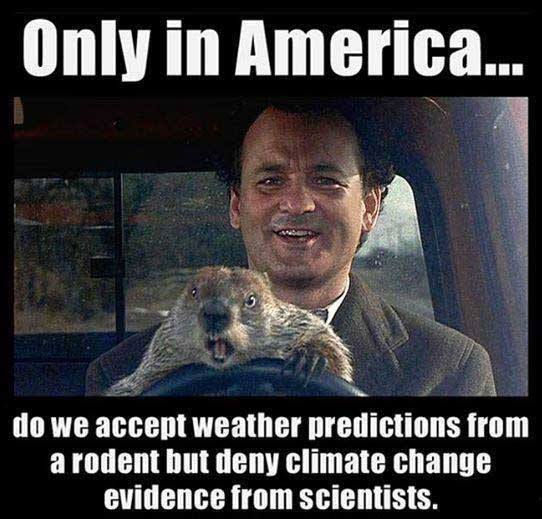 happy groundhog day memes