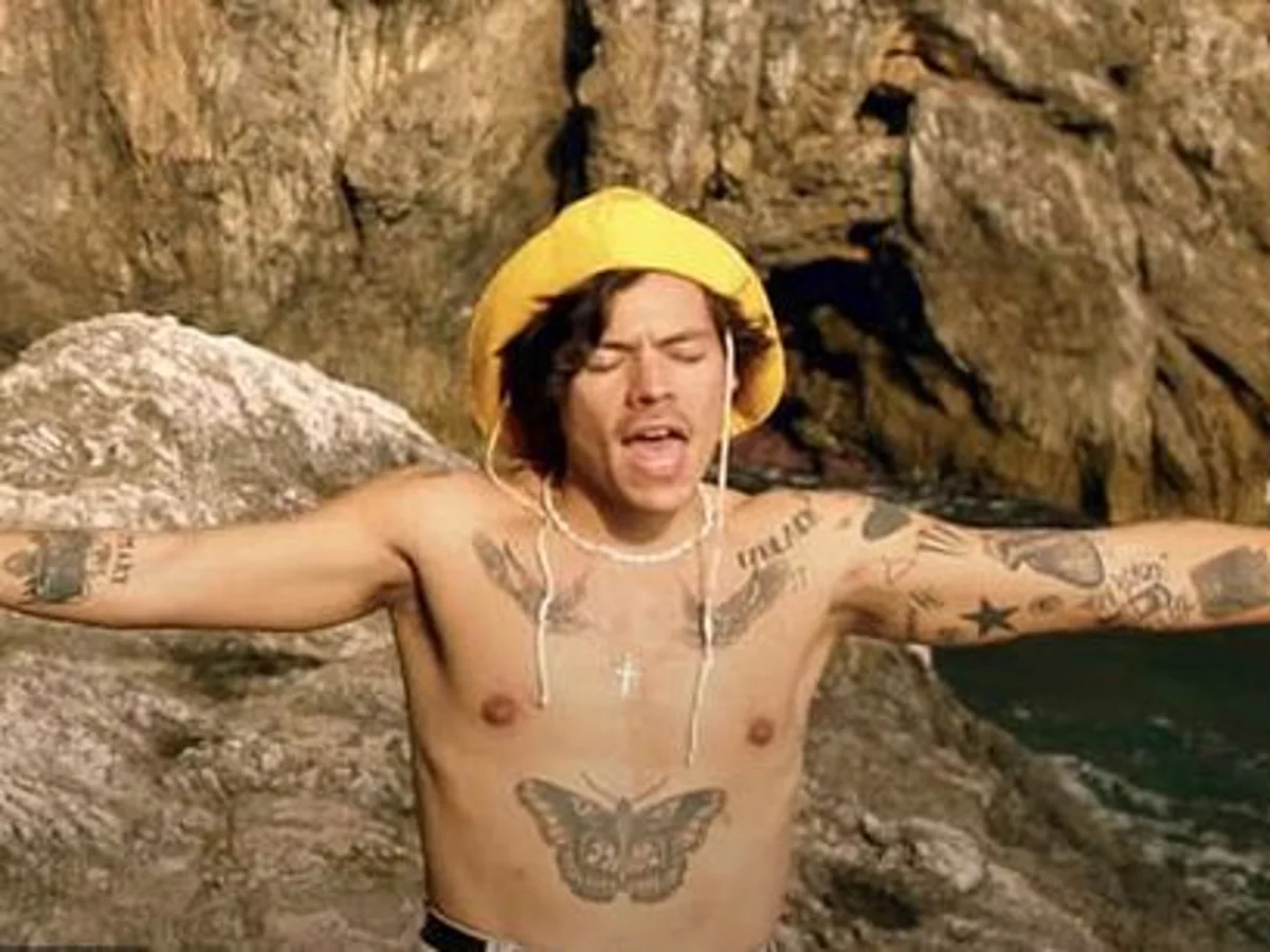 harry styles mariposa