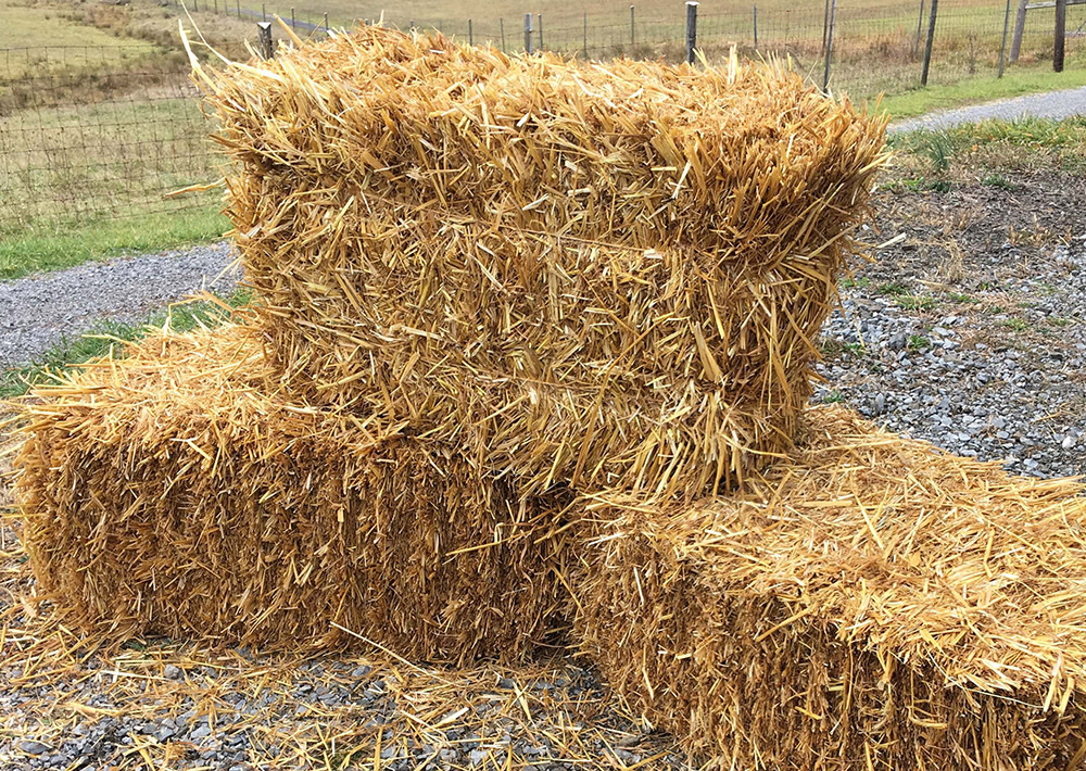 hay bales near me for sale