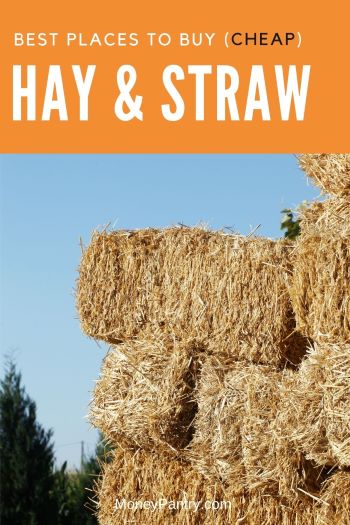 hay for sale near me