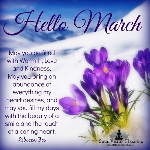 hello march quotes