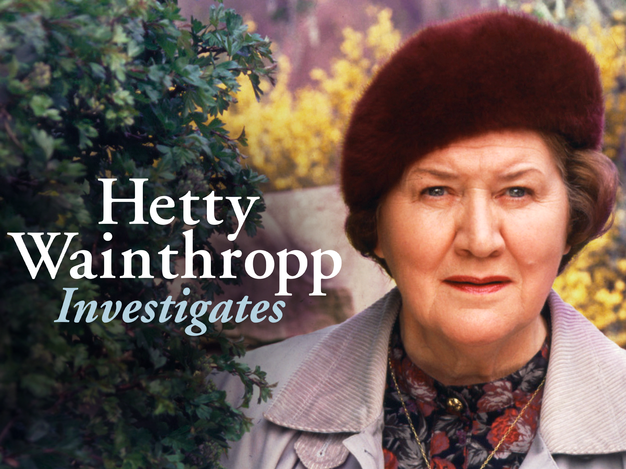 hetty wainthropp investigates