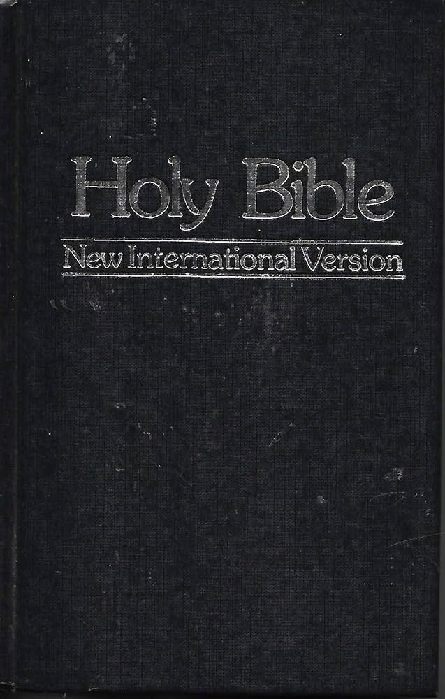 holy bible new international version