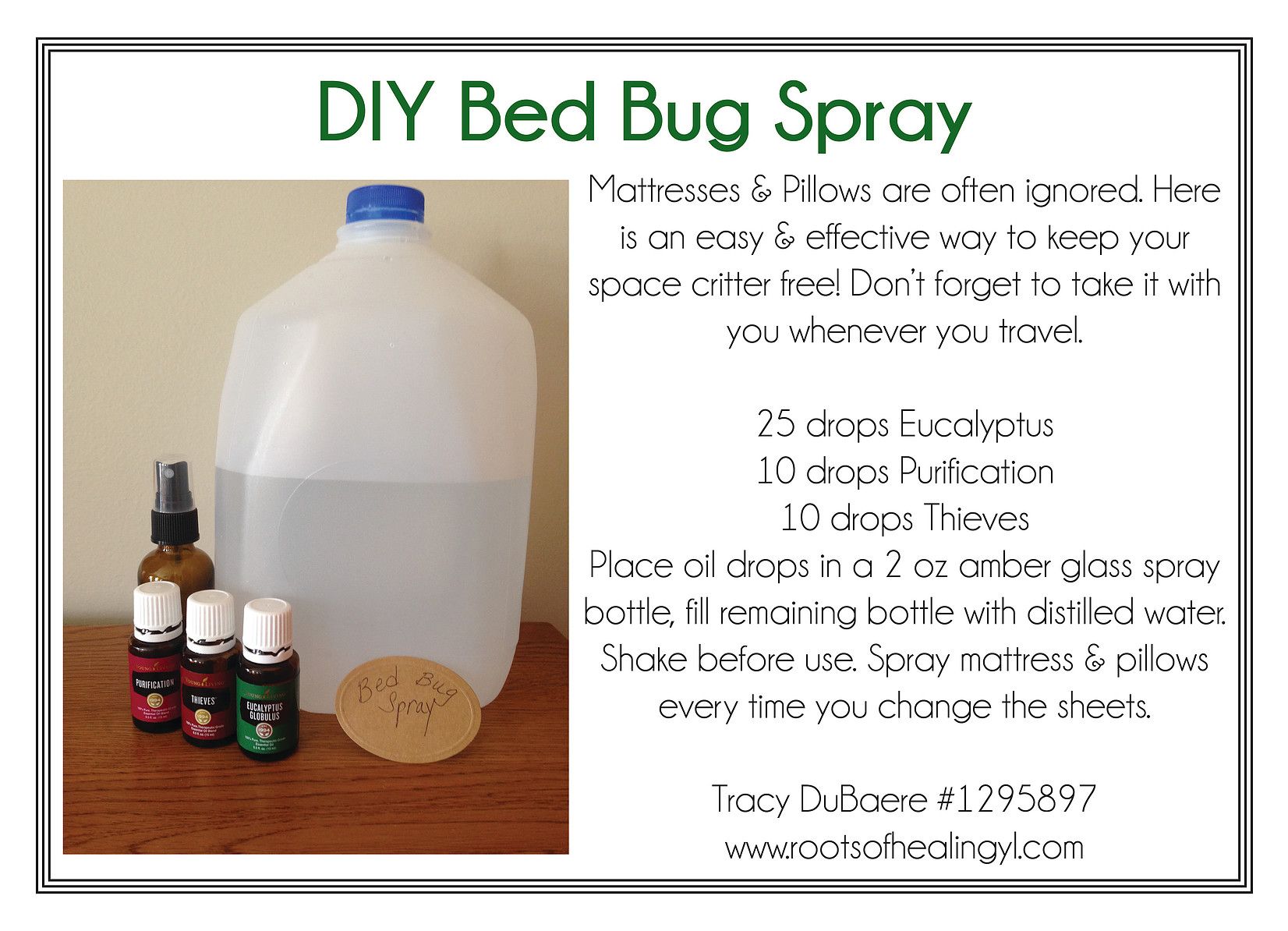 homemade bed bug spray