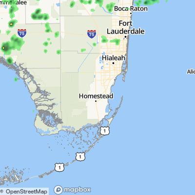 homestead weather hourly