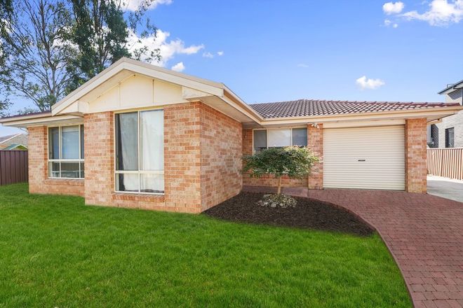 house for rent mount druitt