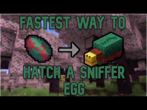 how do you hatch a sniffer egg in minecraft